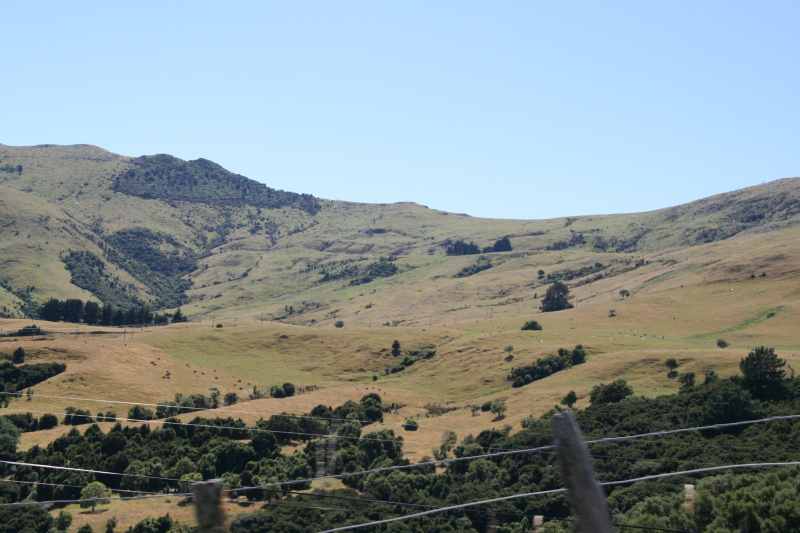 Nieuw-Zeeland 2011 - 2086